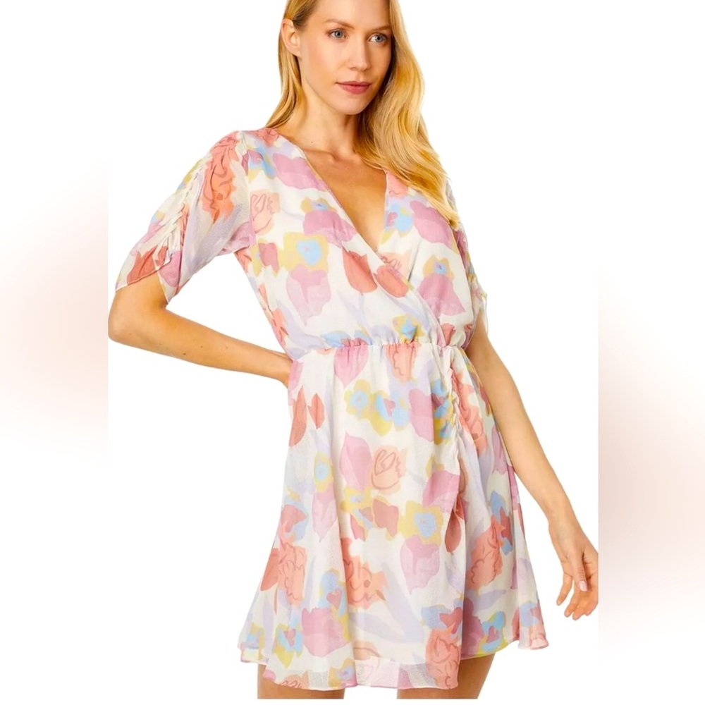Ted Baker dress NWT
